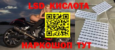 spice Новозыбков