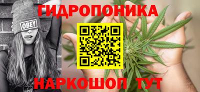 spice Новозыбков