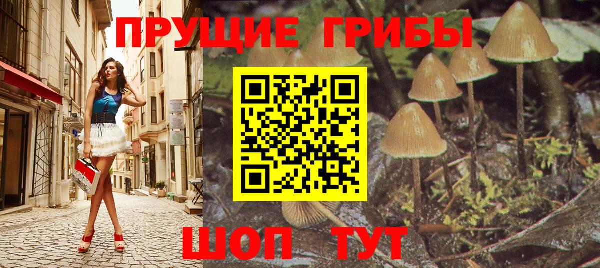 Сосновоборск  Псилоцибиновые грибы Psilocybine cubensis  Псилоцибиновые грибы GOLDEN TEACHER  Вход с VPN 
